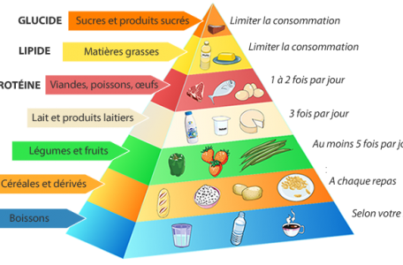 CFPPA Montbrison - nutrition 2