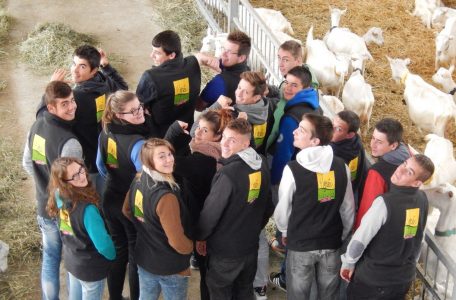 Bac Pro CGEA